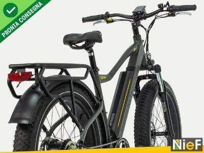 Nief Colosseo Ebike - Bicicletta elettrica 250W 48W - Vista posteriore