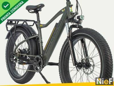 Nief Colosseo Ebike - Bicicletta elettrica 250W 48W doppia batteria - Vista frontale 45°