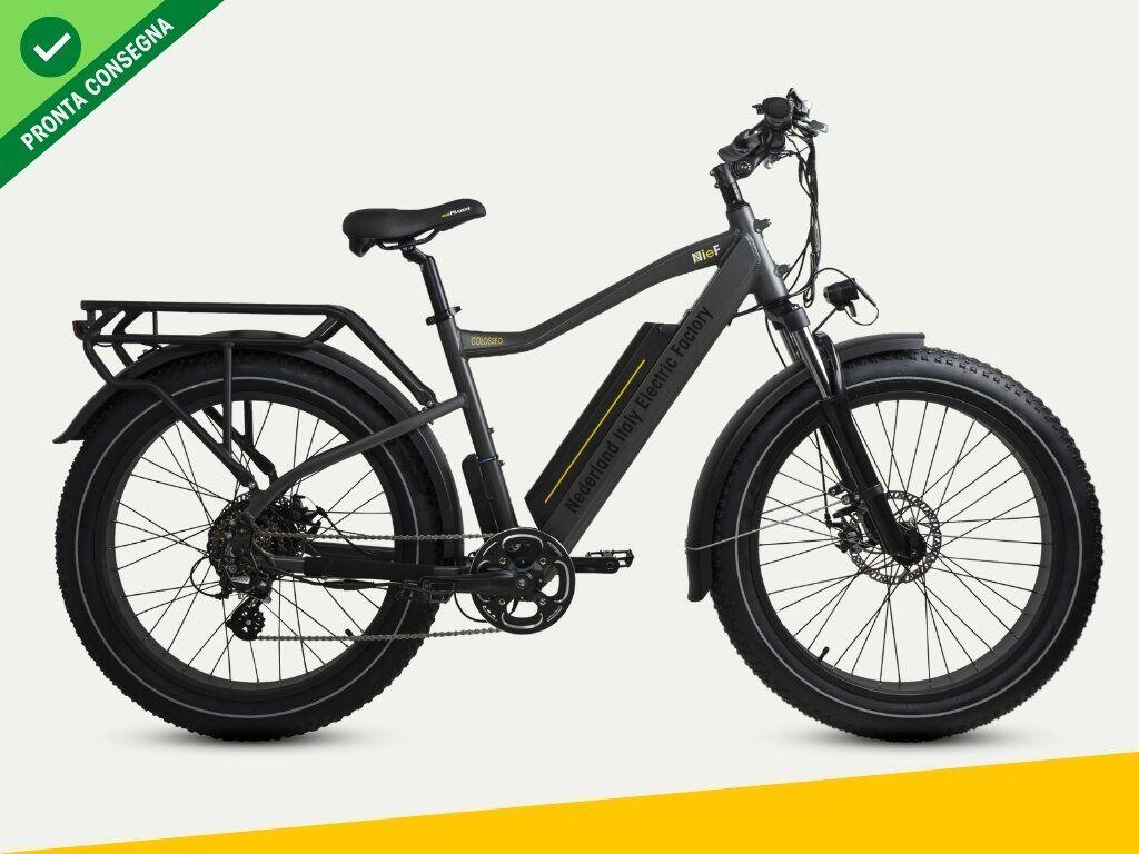Nief Colosseo Ebike - Bicicletta elettrica 250W 48W - Vista laterale