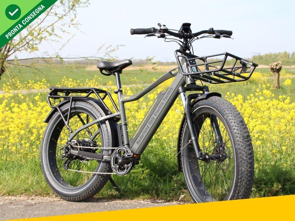 Nief Colosseo Ebike - Bicicletta elettrica 250W 48W - Fat Bike elettrica in natura
