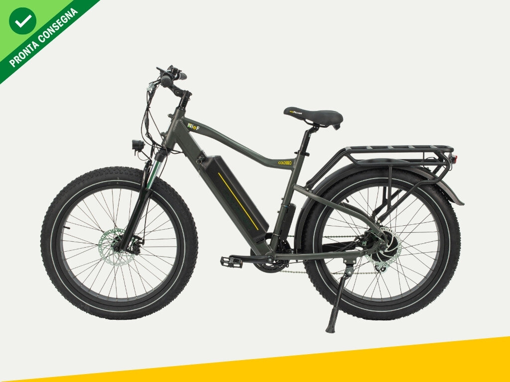 Nief Colosseo Ebike - Bicicletta elettrica 250W 48W - Vista laterale sinistra Colosseo
