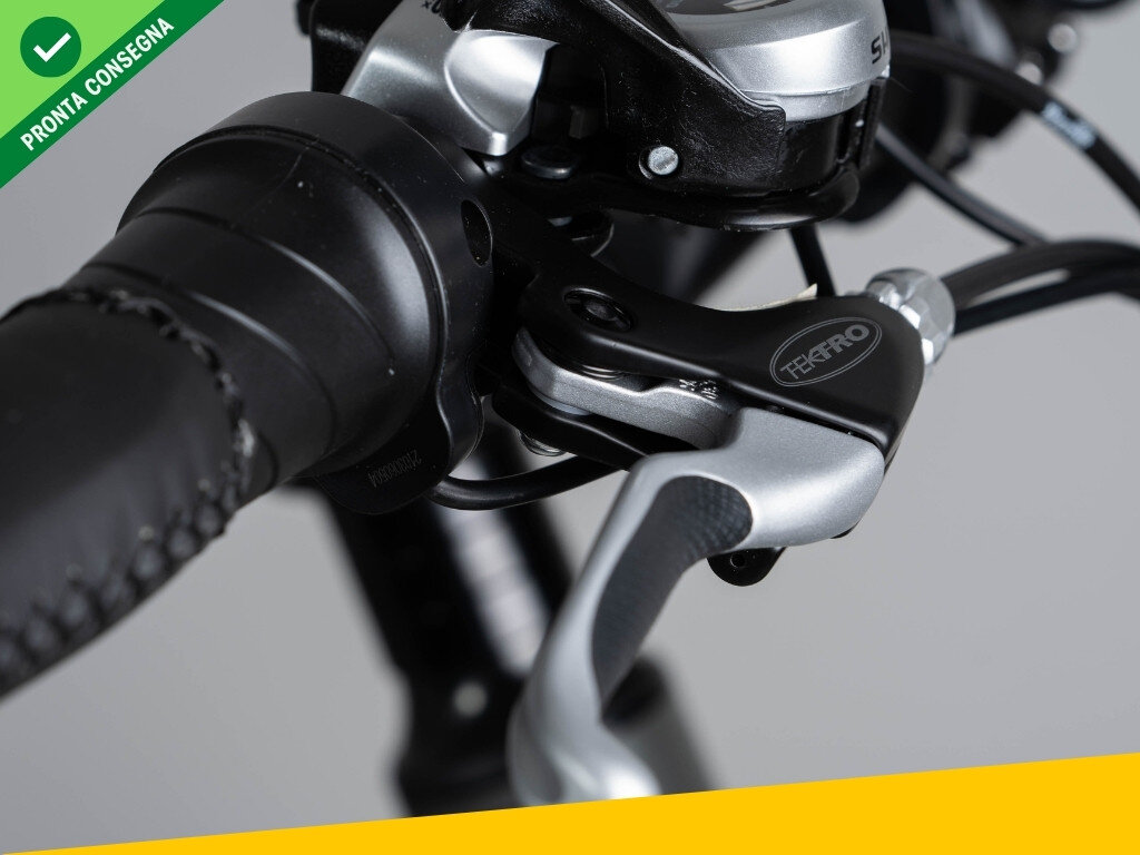 Nief Colosseo Ebike - Bicicletta elettrica 250W 48W - Leva del freno e soft-start