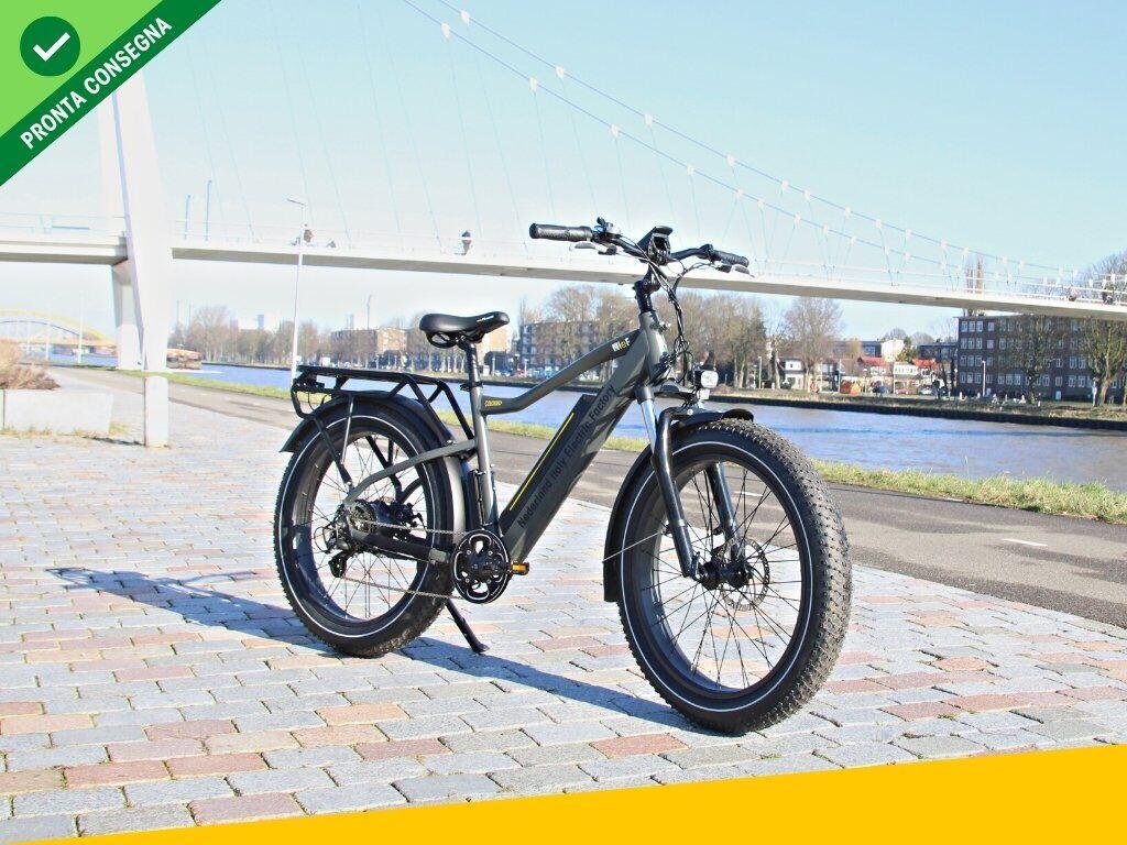 Nief Colosseo Ebike - Bicicletta elettrica 250W 48W - Città-Olandese