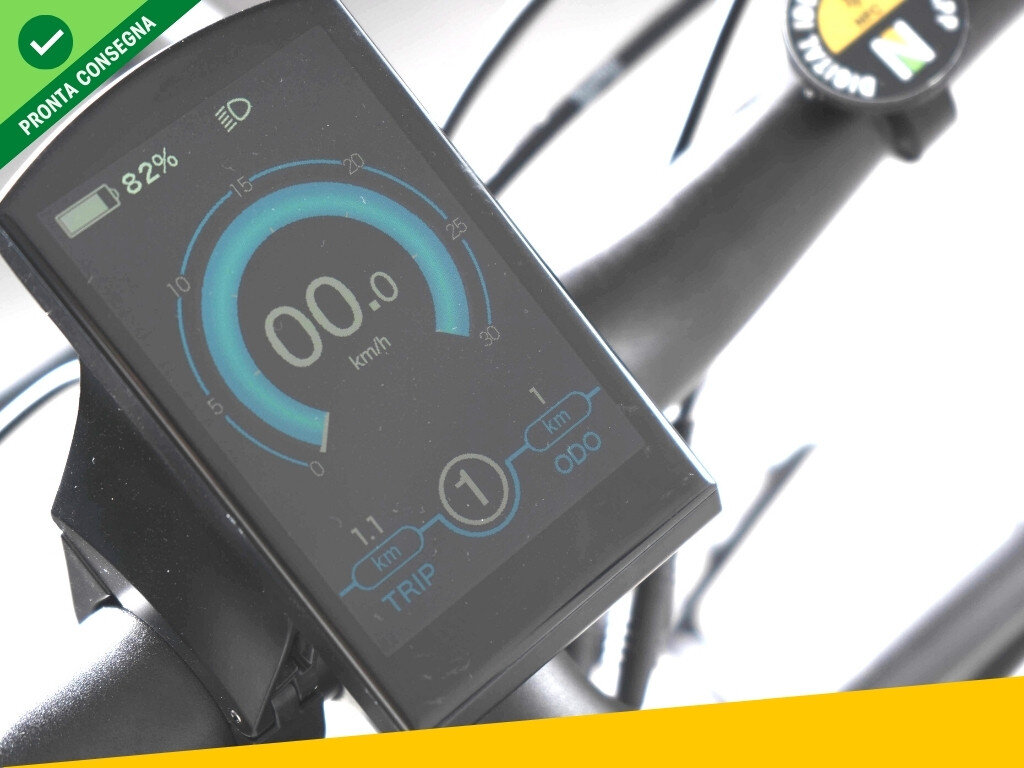 Nief Colosseo Ebike - Bicicletta elettrica 250W 48W - Display a colori Colosseo ebike