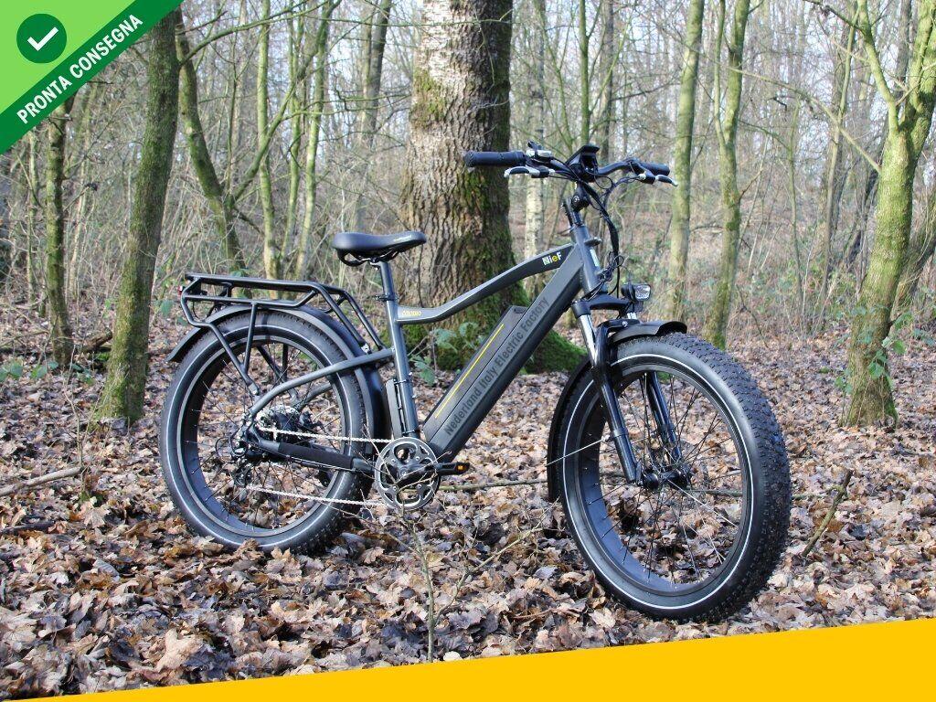 Nief Colosseo Ebike - Bicicletta elettrica 250W 48W - Percorso fuori strada