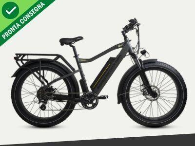 Nief Colosseo Ebike - Bicicletta elettrica 250W 48W 700Wh - Vista laterale