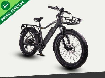 Nief Colosseo Ebike - Bicicletta elettrica 250W 48W 700Wh - Portapacchi anteriore omologato
