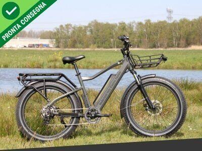 Nief Colosseo Ebike - Bicicletta elettrica 250W 48W 700Wh -Natura