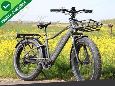 Nief Colosseo Magis Ebike - Bicicletta elettrica 250W 48W 1000Wh - Utrecht Paesaggio