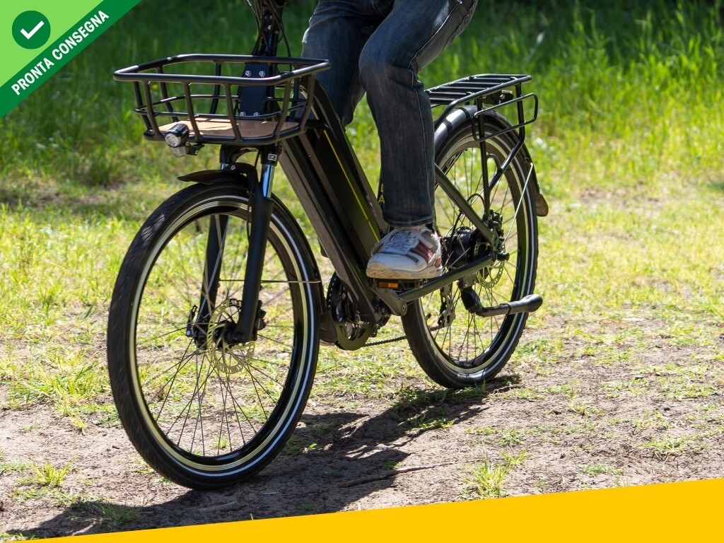 Nief Sibilla X Ebike - Bicicletta elettrica 250W 36W - particolari frontali