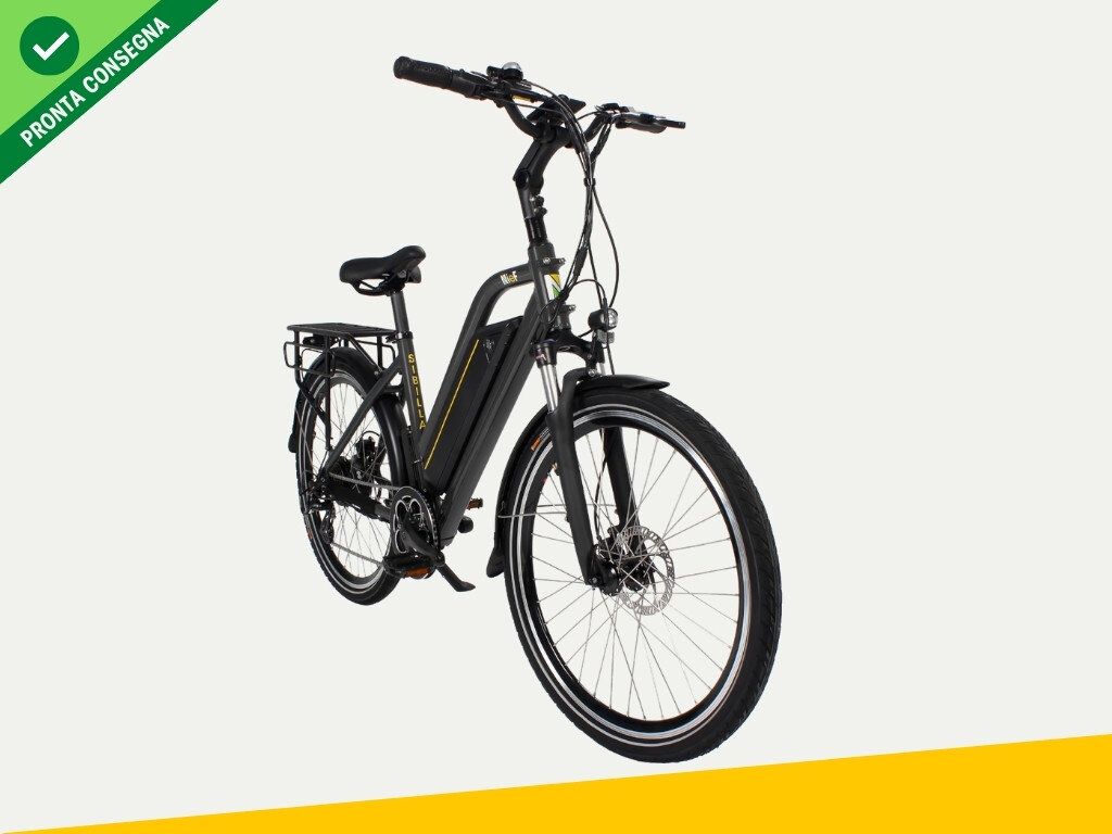 Nief Sibilla X Ebike - Bicicletta elettrica 250W 36W - Vista frontale