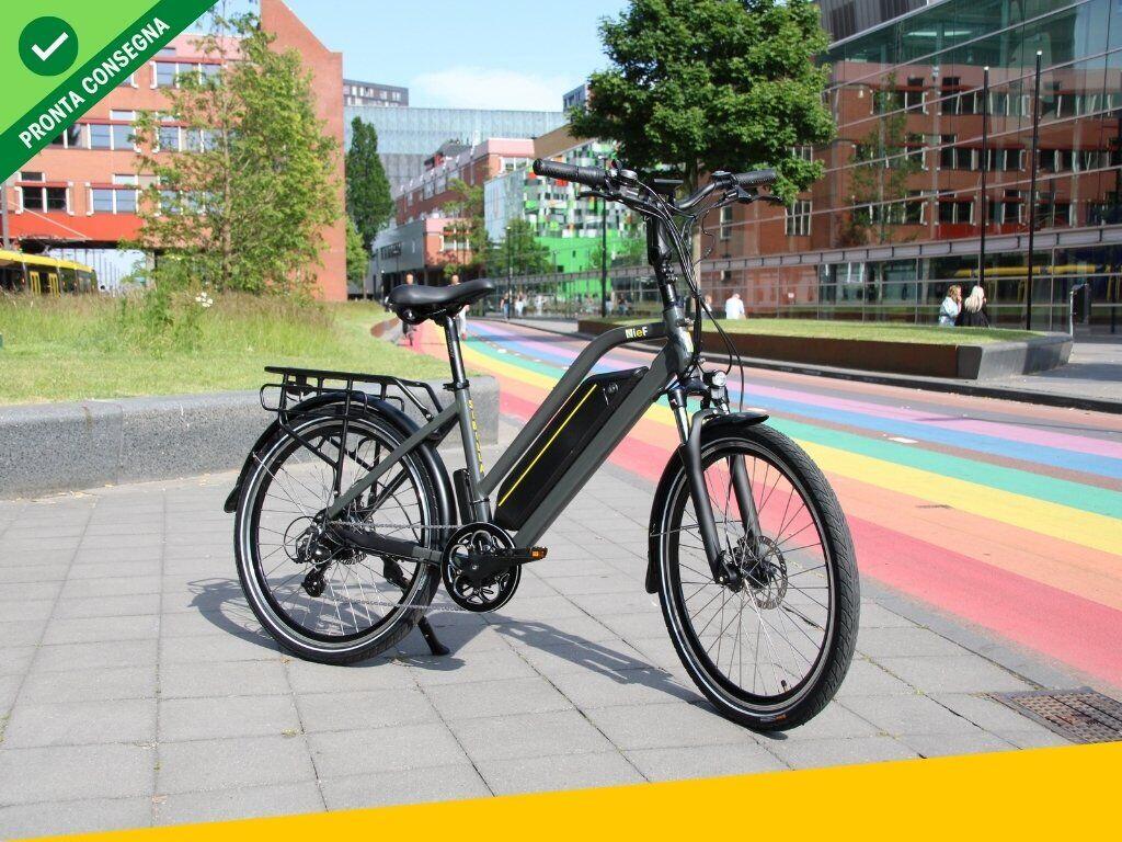 Nief Sibilla X Ebike - Bicicletta elettrica 250W 36W - Pista ciclabile arcobaleno di Utrecht