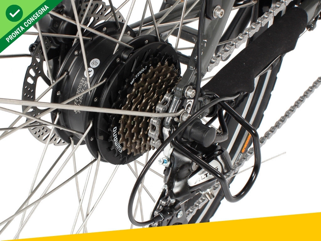Nief Sibilla X Ebike - Bicicletta elettrica 250W 36W - Motore 36V 250W 45Nm