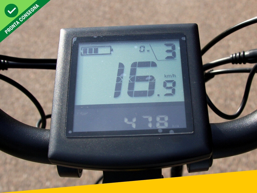 Nief Sibilla X Ebike - Bicicletta elettrica 250W 36W - Display LCD bicicletta elettrica a pedalata assistita