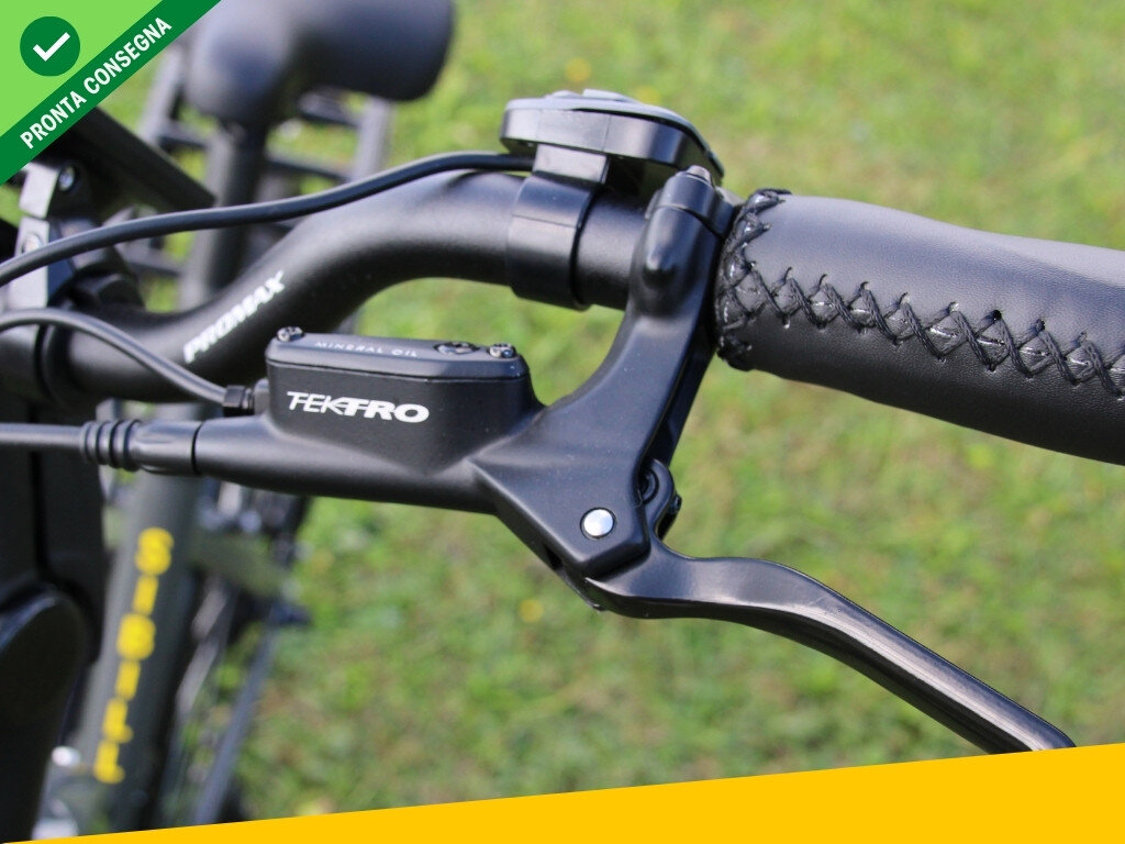 Nief Sibilla X Ebike - Bicicletta elettrica 250W 36W - Freno idraulico Tektro