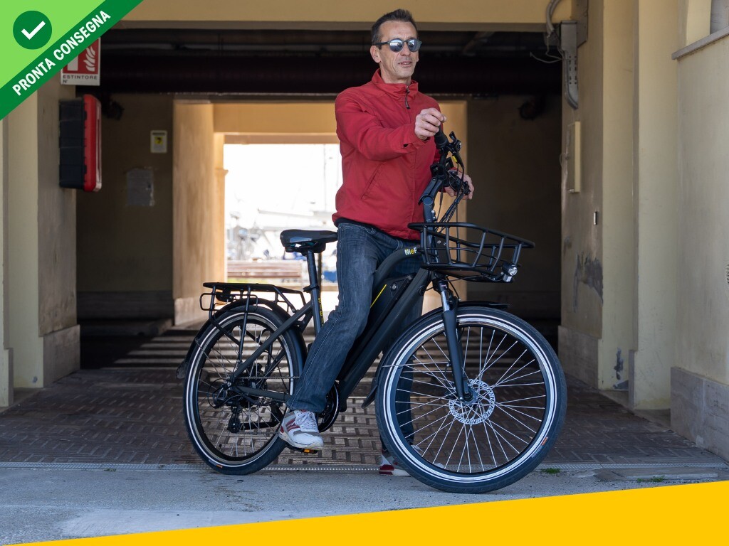 Nief Sibilla X Ebike - Bicicletta elettrica 250W 36W - con portapacchi