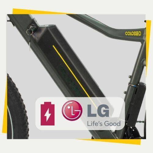 Batteria LG ad alta autonomia